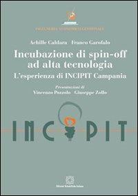 Incubazione di spin-off ad alta tecnologia. L'esperienza di INCIPIT Campania - Achille Caldara, Franco Garofalo - Libro Edizioni Scientifiche Italiane 2013, Ingegneria economico-gestionale | Libraccio.it