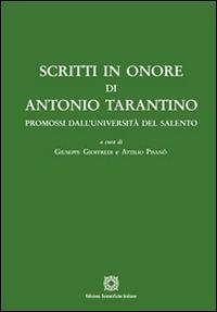 Scritti in onore di Antonio Tarantino  - Libro Edizioni Scientifiche Italiane 2014 | Libraccio.it