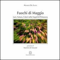 Fuochi di maggio. Ediz. illustrata - Maurizio Del Santo - Libro Edizioni Scientifiche Italiane 2013 | Libraccio.it