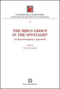 The Brics Group in the sportlight. An interdisciplinary approach  - Libro Edizioni Scientifiche Italiane 2015 | Libraccio.it
