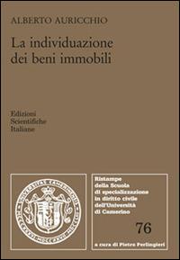 La individuazione dei beni immobili - Alberto Auricchio - Libro Edizioni Scientifiche Italiane 2016, Univ. Camerino | Libraccio.it