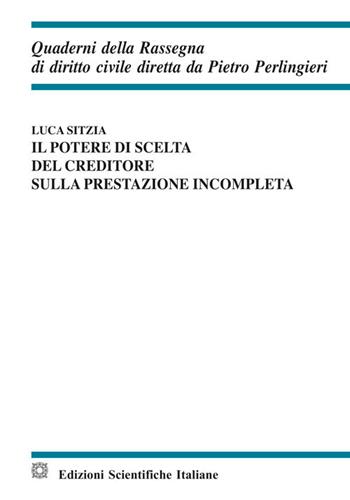 Il potere di scelta del creditore sulla prestazione incompleta. Fenomenologia dei flussi migratori e condizione giuridica dello straniero  - Libro Edizioni Scientifiche Italiane 2017, Quaderni della Rassegna di diritto civile | Libraccio.it