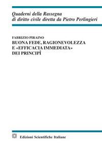 Buona fede, ragionevolezza e «efficacia immediata» dei principi - Fabrizio Piraino - Libro Edizioni Scientifiche Italiane 2017, Quaderni della Rassegna di diritto civile | Libraccio.it