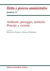 Ambiente, paesaggio, territorio. Principi e vicende