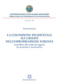 La cognizione incidentale sui crediti nell'espropriazione forzata. Contributo allo studio dei rapporti tra esecuzione e accertamento - Ennio Cavuoto - Libro Edizioni Scientifiche Italiane 2017, Univ. Bari | Libraccio.it