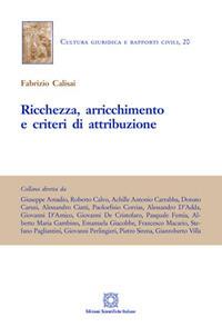 Ricchezza, arricchimento e criteri di attribuzione - Fabrizio Calisai - Libro Edizioni Scientifiche Italiane 2017, Cultura giuridica e rapporti civili | Libraccio.it