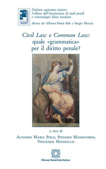 Civil law e common law: quale «grammatica» per il diritto penale?  - Libro Edizioni Scientifiche Italiane 2018 | Libraccio.it