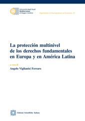 La protección multinivel de los derechos fundamentales en Europa y en América Latina