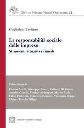 La responsabilità sociale delle imprese. Strumenti attuativi e rimedi