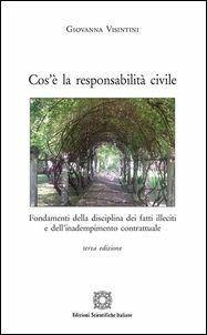 Cos'è la responsabilità civile - Giovanna Visintini - Libro Edizioni Scientifiche Italiane 2019, Centro studi toscolano | Libraccio.it
