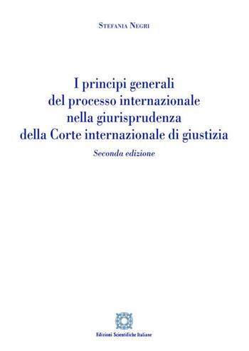 I principi generali del processo internazionale nella giurisprudenza della corte internazionale di giustizia - Stefania Negri - Libro Edizioni Scientifiche Italiane 2020 | Libraccio.it