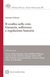 Il credito nelle crisi. Garanzia, sofferenze e regolazione bancaria