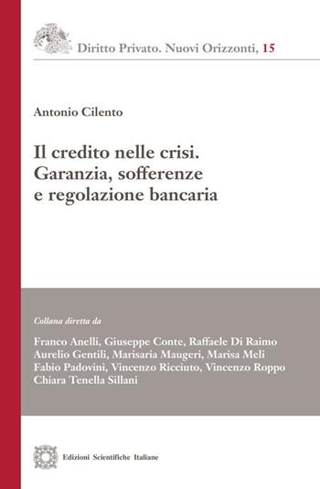Il credito nelle crisi. Garanzia, sofferenze e regolazione bancaria - Antonio Cilento - Libro Edizioni Scientifiche Italiane 2020, Diritto privato. Nuovi orizzonti | Libraccio.it