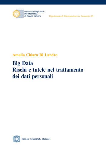 Big Data. Rischi e tutele nel trattamento dei dati personali - Amalia Chiara Di Landro - Libro Edizioni Scientifiche Italiane 2020, Univ. Mediterranea | Libraccio.it