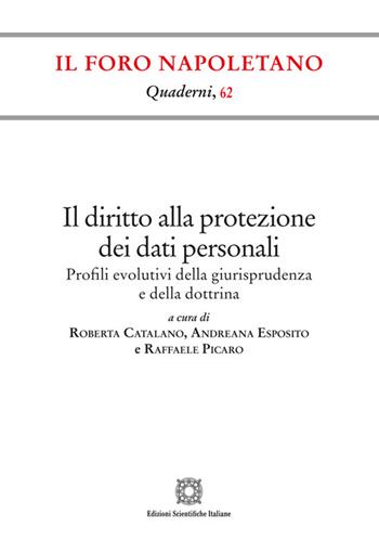 Il diritto alla protezione dei dati personali  - Libro Edizioni Scientifiche Italiane 2025, Quaderni de «Il Foro napoletano» | Libraccio.it