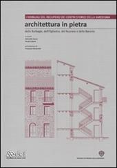 Architettura in pietra delle Barbagie, dell'Ogliastra, del Nuorese e delle Baronie. Ediz. illustrata. Con CD-ROM. Vol. 1