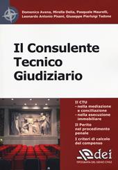 Il consulente tecnico giudiziario