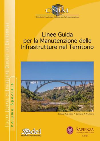 Linee guida per la manutenzione delle infrastrutture nel territori  - Libro DEI 2019 | Libraccio.it