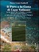 Il Poro e la costa di Capo Vaticano. Guida ambientale, culturale e turistica al promontorio del Poro ed alla costa tirrenica tra Pizzo e Nicòtera - Simone C. Lombardi - Libro Rubbettino 2003, Gli scarabei | Libraccio.it