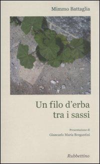 Un filo d'erba tra i sassi - Mimmo Battaglia - Libro Rubbettino 2009, Varia | Libraccio.it