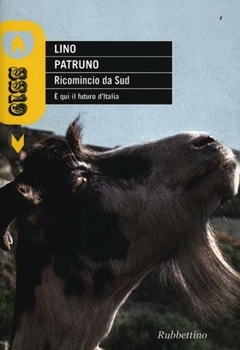 Ricomincio da Sud. È qui il futuro d'Italia - Lino Patruno - Libro Rubbettino 2012, SS19 | Libraccio.it