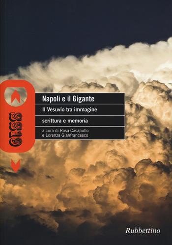 Napoli e il gigante. Il Vesuvio tra immagine scrittura e memoria  - Libro Rubbettino 2014, SS19 | Libraccio.it