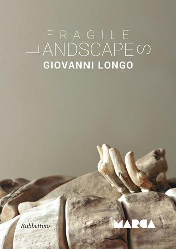 Fragile landscapes - Giovanni Longo - Libro Rubbettino 2016, Varia | Libraccio.it