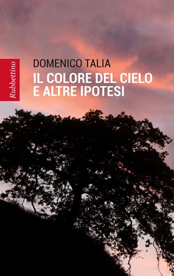 Il colore del cielo e altre ipotesi - Domenico Talia - Libro Rubbettino 2017, Patipatisse | Libraccio.it