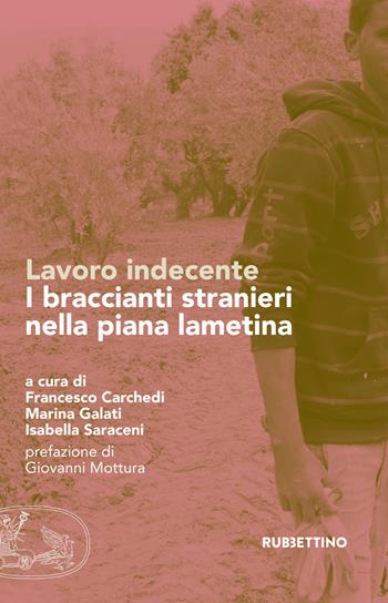 Lavoro indecente. I braccianti stranieri nella piana lametina  - Libro Rubbettino 2017, Varia | Libraccio.it