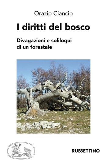 I diritti del bosco. Divagazioni e soliloqui di un forestale - Orazio Ciancio - Libro Rubbettino 2018, Varia | Libraccio.it