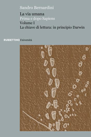 La via umana. Prima e dopo Sapiens. Vol. 1: La chiave di lettura: in principio Darwin - Sandro Bernardini - Libro Rubbettino 2021, Università | Libraccio.it