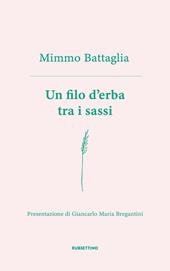 Un filo d'erba tra i sassi