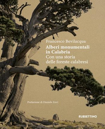 Alberi monumentali in Calabria. Con una storia delle foreste calabresi - Francesco Bevilacqua - Libro Rubbettino 2022, Varia | Libraccio.it