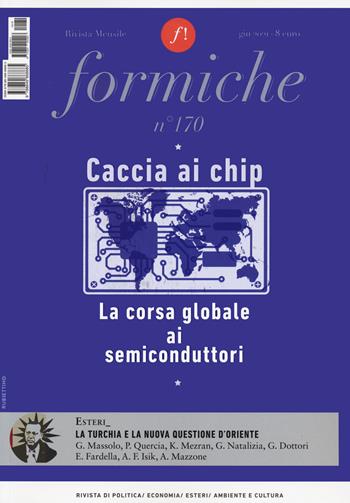 Formiche. Vol. 170  - Libro Rubbettino 2021, Le riviste | Libraccio.it