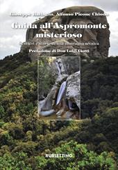 Guida all'Aspromonte misterioso. Sentieri e storie di una montagna arcaica