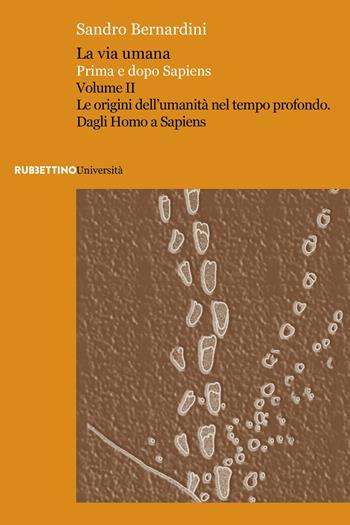 La via umana. Prima e dopo Sapiens. Vol. 2: Le origini dell'umanità nel tempo profondo. Dagli Homo a Sapiens - Sandro Bernardini - Libro Rubbettino 2023, Università | Libraccio.it