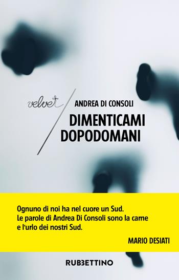 Dimenticami dopodomani - Andrea Di Consoli - Libro Rubbettino 2024, Velvet | Libraccio.it