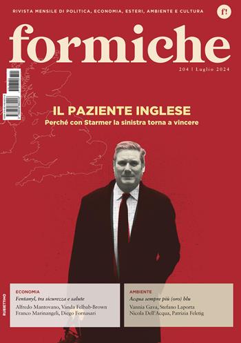 Formiche (2024). Vol. 204: Il paziente inglese  - Libro Rubbettino 2024, Le riviste | Libraccio.it