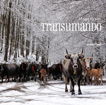 Transumando. Ediz. illustrata - Mario Greco - Libro Rubbettino 2026, Varia | Libraccio.it
