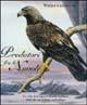 Predatori fra le nuvole. La vita dei rapaci diurni italiani visti da un artista ornitologo - Walter Ceccarelli - Libro Edimond 2002, Imago | Libraccio.it