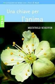 Una chiave per l'anima - Mechthild Scheffer - Libro TEA 1997, TEA pratica | Libraccio.it