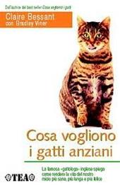 Cosa vogliono i gatti anziani