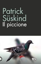 Il piccione