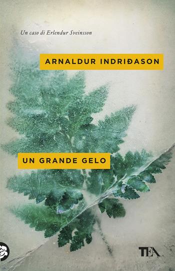 Un grande gelo. I casi dell'ispettore Erlendur Sveinsson. Vol. 5 - Arnaldur Indriðason - Libro TEA 2019, Mystery TEA | Libraccio.it