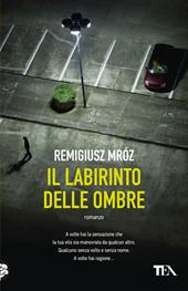 Il labirinto delle ombre