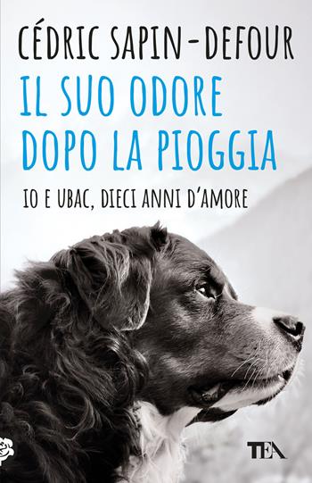 Il suo odore dopo la pioggia. Io e Ubac, dieci anni d'amore - Cédric Sapin-Defour - Libro TEA 2025, TEA hit | Libraccio.it