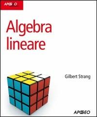 Algebra lineare - Gilbert Strang - Libro Apogeo 2008, Idee & strumenti | Libraccio.it