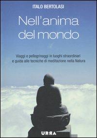 Nell'anima del mondo. Viaggi e pellegrinaggi in luoghi straordinari e guida alle tecniche di meditazione nella natura - Italo Bertolasi - Libro Apogeo 2010, Urra | Libraccio.it