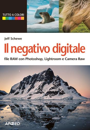 Il negativo digitale. File RAW con Photoshop, Lightroom e Camera RAW - Jeff Schewe - Libro Apogeo 2014, Guida completa | Libraccio.it
