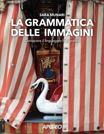 La grammatica delle immagini. Conoscere il linguaggio fotografico - Sara Munari - Libro Apogeo 2025 | Libraccio.it